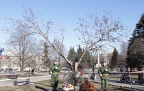 Торжественное открытие стелы на въезде в Дебальцево, 18 февраля 2016 года