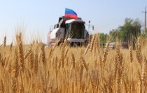IMG_5947.JPG