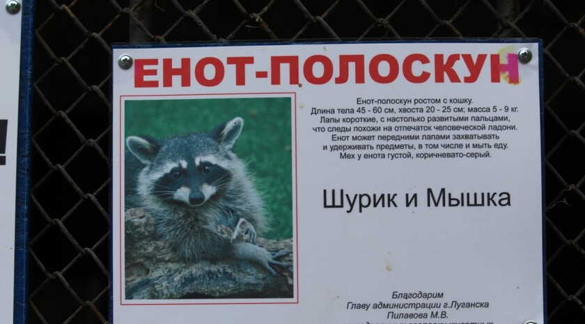 1.JPG