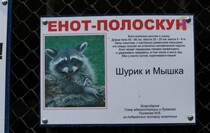 1.JPG