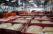 Посещение представителями бизнеса Республики Крым ПАО "Луганск-Нива", Луганск, 20 июля 2017 года