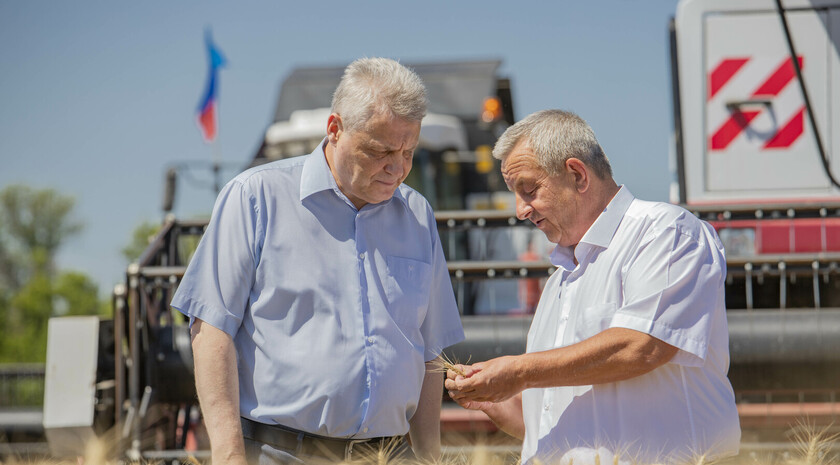 Начало уборки озимой пшеницы, Лутугинский район, 13 июля 2021 года