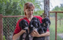 Поездка в специализированный приют для бездомных собак "Дай лапу", Луганск, 13 августа 2021 года