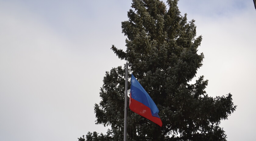 Лутугинский район