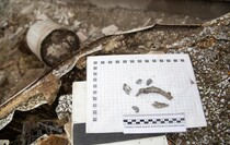 Последствия обстрела села Николаевка со стороны ВСУ, 30 ноября 2021 года