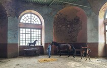 Limarevka horse-breeding farm in Belovodsk district, March 31, 2022