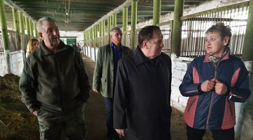 Limarevka horse-breeding farm in Belovodsk district, March 31, 2022