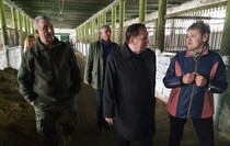 Limarevka horse-breeding farm in Belovodsk district, March 31, 2022