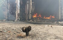 Обстановка в освобожденной Попасной, 10 мая 2022 года