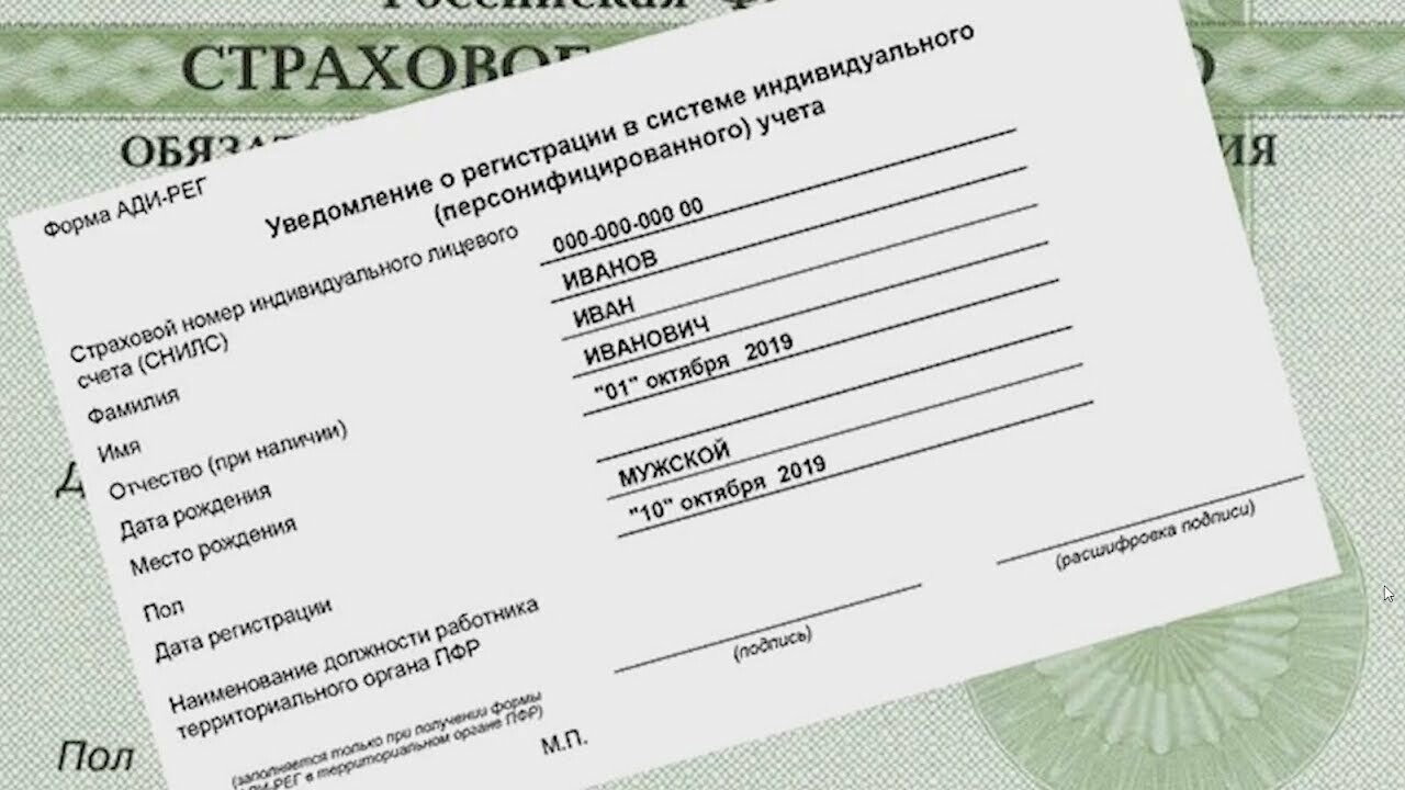 Жители Республики подали в отделения МФЦ более 9,8 тыс. анкет на  приобретение СНИЛС - Новости - Луганский Информационный Центр