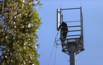 Фото: Александр Река/ТАСС