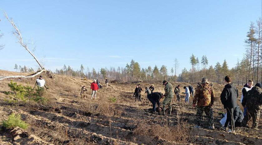 Фото: пресс-служба Минприроды ЛНР