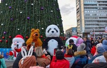 Фото: Луганский Информационный Центр/Марина Сулименко