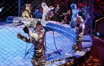 Фото: Луганский информационный центр/Анастасия Стеценко