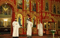 Фото: Луганский информационный центр/Анастасия Стеценко