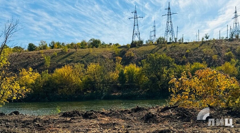 Фото: Луганский информационный центр/Анастасия Стеценко