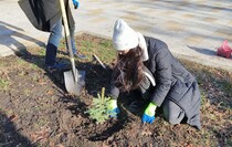 Фото: Луганский Информационный Центр