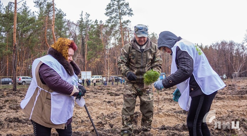 Фото: Луганский информационный центр/ Дарья Чмирова