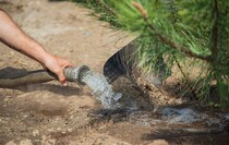 Фото: Луганский Информационный Центр/Дарья Чмирова