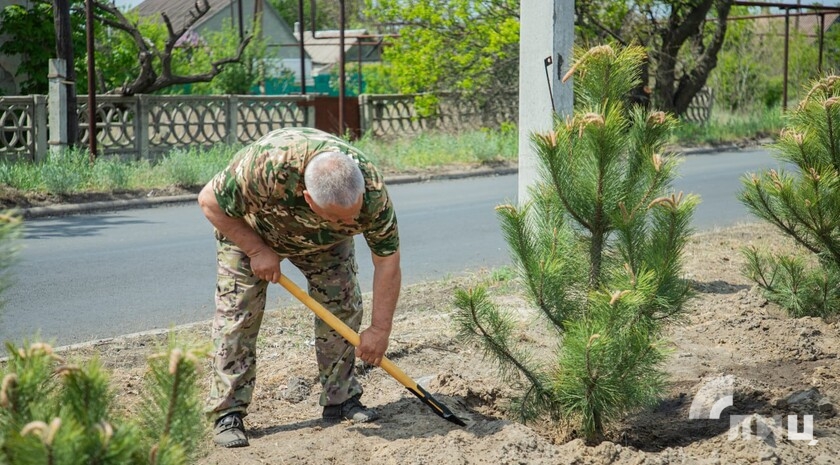 Фото: Луганский Информационный Центр/Дарья Чмирова