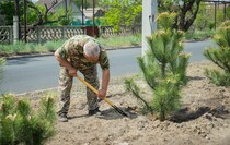 Фото: Луганский Информационный Центр/Дарья Чмирова