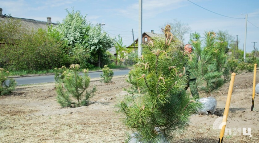 Фото: Луганский Информационный Центр/Дарья Чмирова