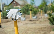 Фото: Луганский Информационный Центр/Дарья Чмирова