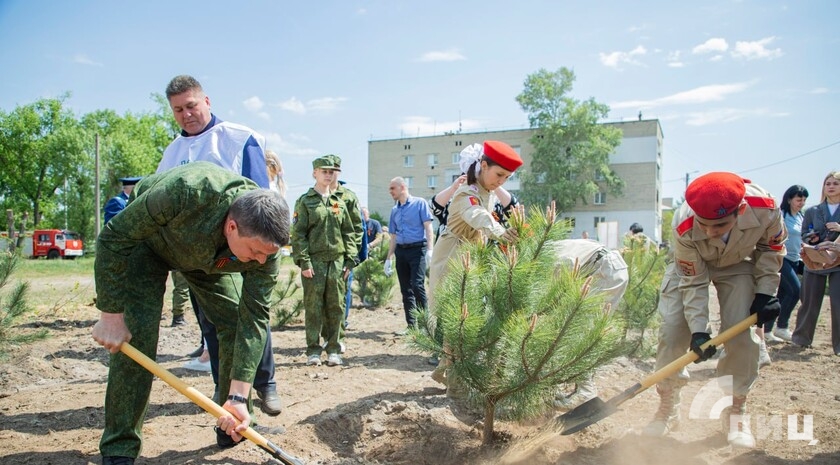 Фото: Луганский Информационный Центр/Дарья Чмирова