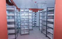 Фото: Луганский Информационный Центр/Дарья Чмирова