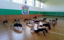 Фото: Пресс-служба Министерства спорта ЛНР
