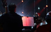Фото: Луганский Информационный Центр/Анастасия Стеценко