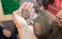 Фото: Луганский Информационный Центр/Дарья Чмирова