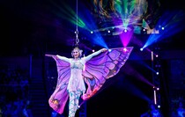 Фото: Луганский Информационный Центр/Анастасия Стеценко