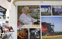 Фото: Луганский Информационный Центр/Анастасия Стеценко