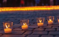 Фото: Луганский Информационный Центр/Дарья Чмирова