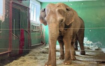 Фото: Луганский Информационный Центр
