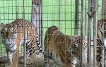 Фото: Луганский Информационный Центр