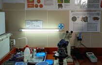 Фото: Луганский Информационный Центр