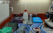 Фото: Луганский Информационный Центр