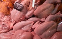 Фото: Луганский Информационный Центр