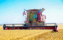 Фото: Луганский Информационный Центр/Анастасия Стеценко