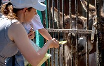 Фото: Луганский Информационный Центр/Анастасия Стеценко