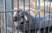 Фото: Луганский Информационный Центр/Анастасия Стеценко