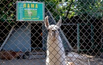 Фото: Луганский Информационный Центр/Анастасия Стеценко