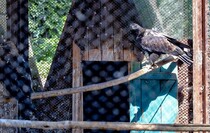 Фото: Луганский Информационный Центр/Анастасия Стеценко