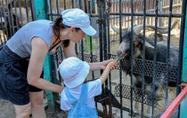 Фото: Луганский Информационный Центр/Анастасия Стеценко