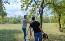 Фото: Луганский Информационный Центр