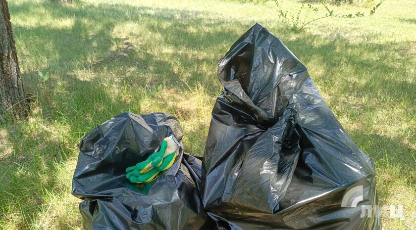 Фото: Луганский Информационный Центр