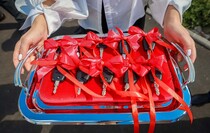Фото: Луганский Информационный Центр/Анастасия Стеценко