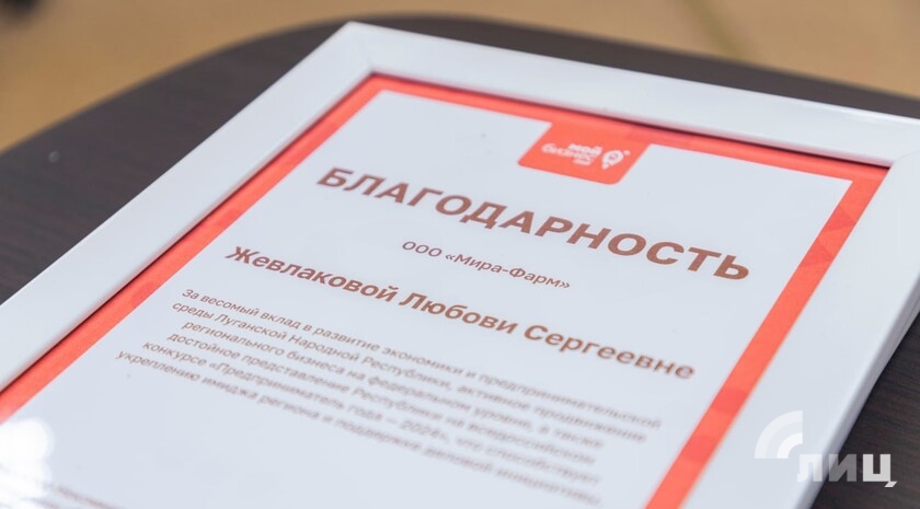 Фото: Луганский Информационный Центр/Дарья Чмирова